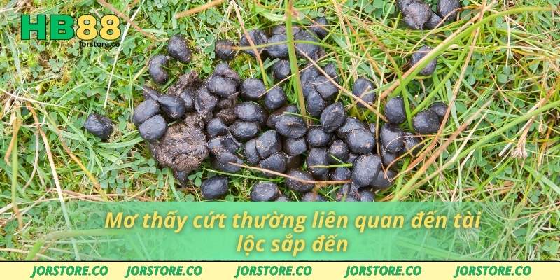 Mơ Thấy Cứt Và Những Con Số May Mắn Trong Lô Đề HB88 Mơ thấy cứt thường liên quan đến tài lộc sắp đến